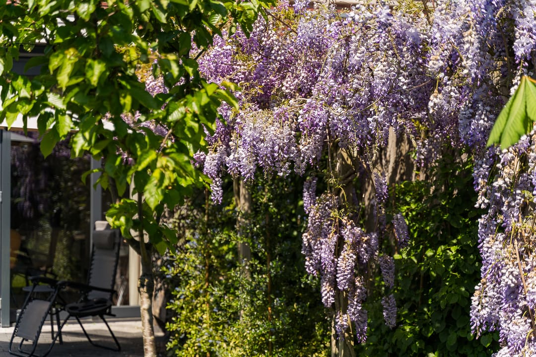 Photo 61 of Beekenkampweg 69