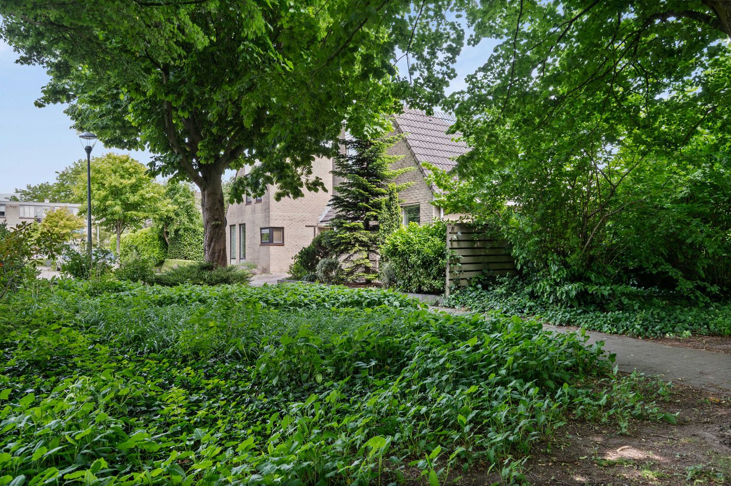 Photo 44 of Liesbos 106