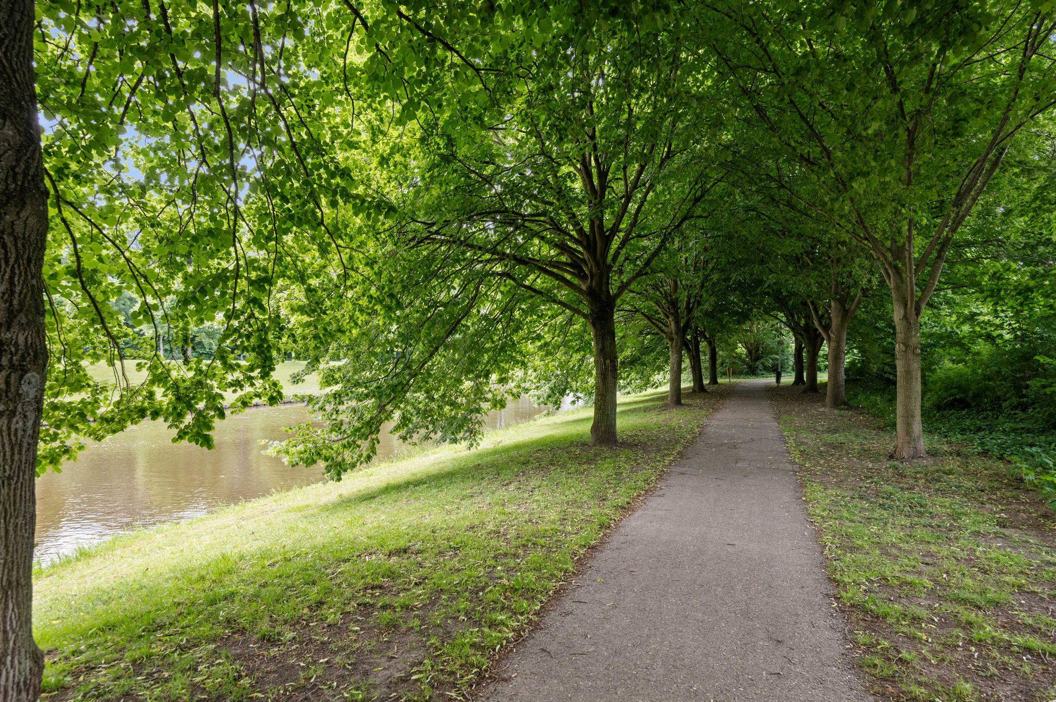 Photo 45 of Liesbos 106