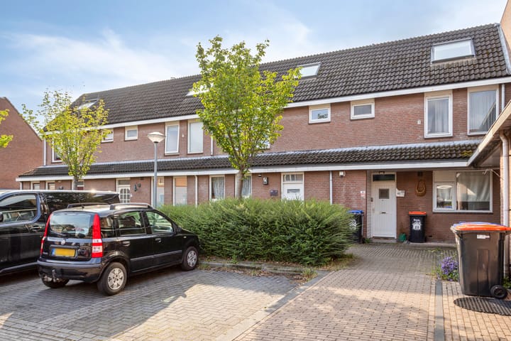 Foto 1 van Botter 42 21