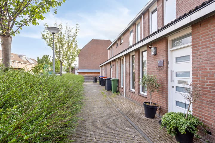 Foto 21 van Botter 42 21