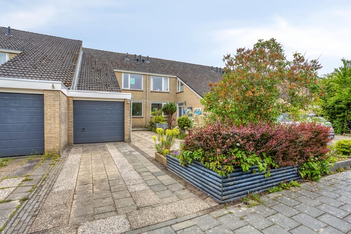 Plevierstraat 32