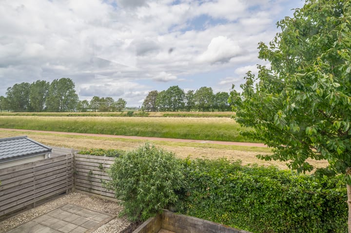 Foto 3 van Dassenwissel 33