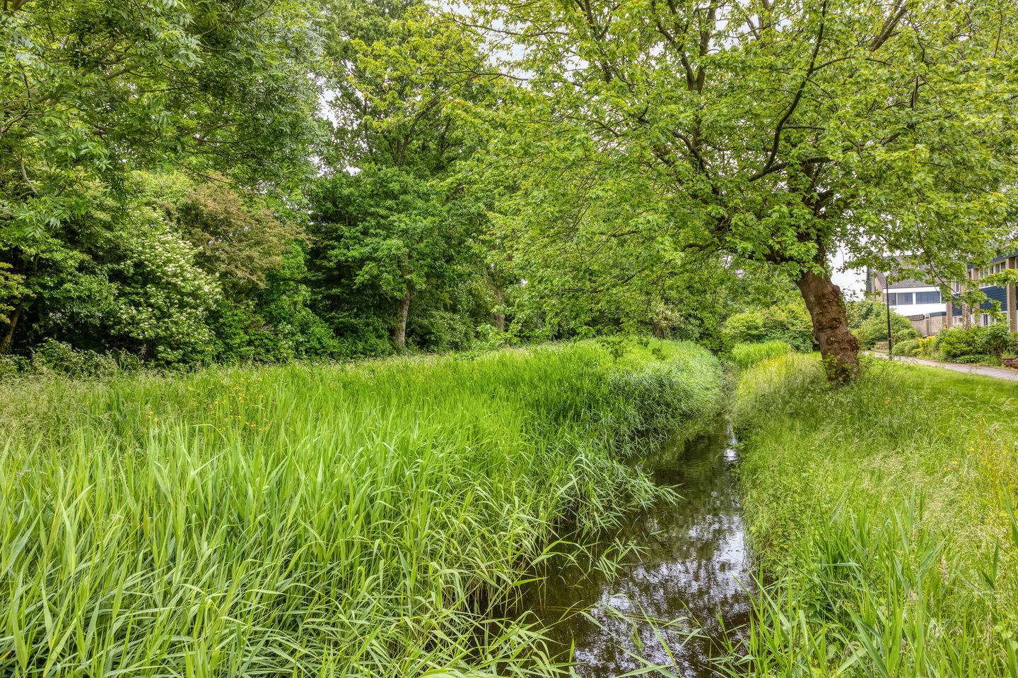 Foto 34 van Plevierstraat 32