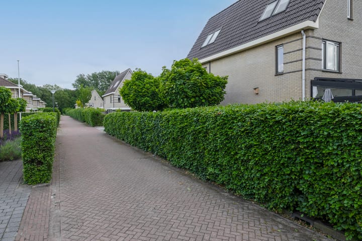 Foto 40 van Dassenwissel 33