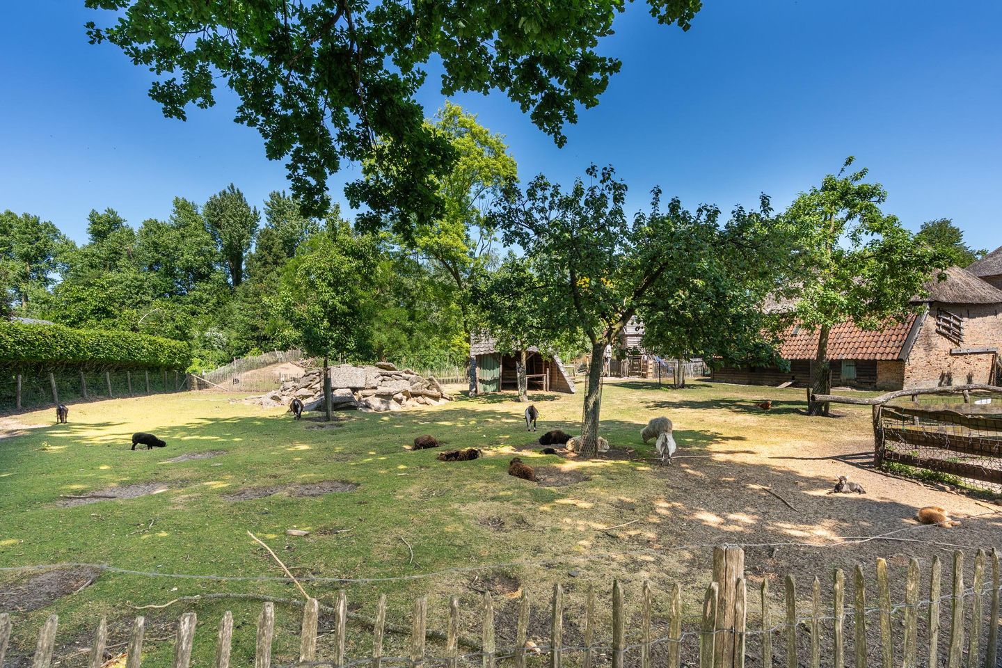 Foto 4 van Bosscheweg 37