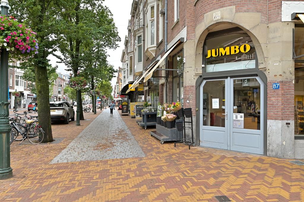 Photo 51 of Van Weede van Dijkveldstraat 56