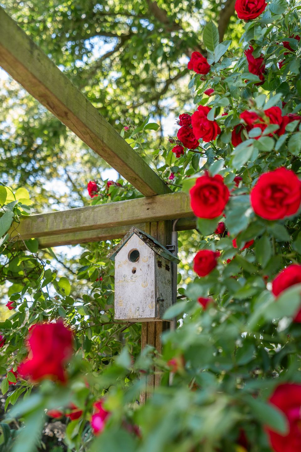 Foto 31 van Bosscheweg 37