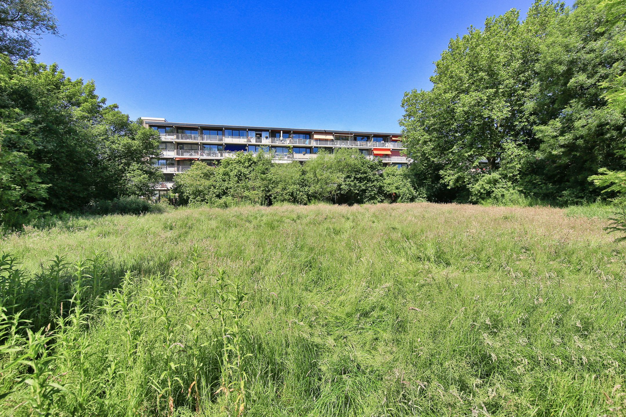 Foto 45 van Meidoornweg 152