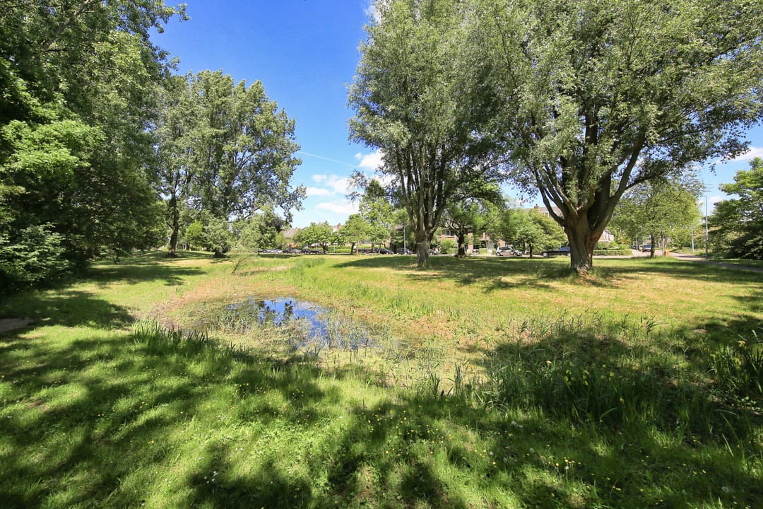 Foto 46 van Meidoornweg 152