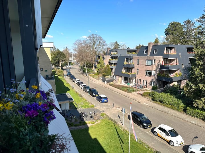 Foto 19 van Amalialaan 122