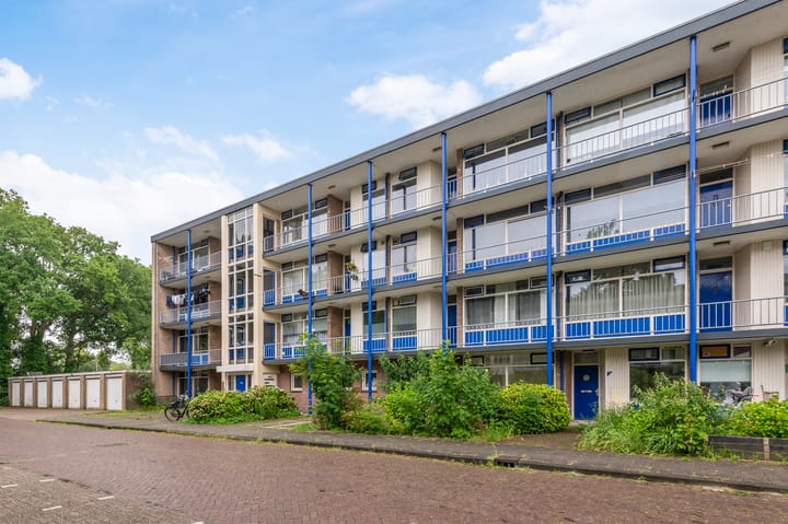 De Reiger 247
