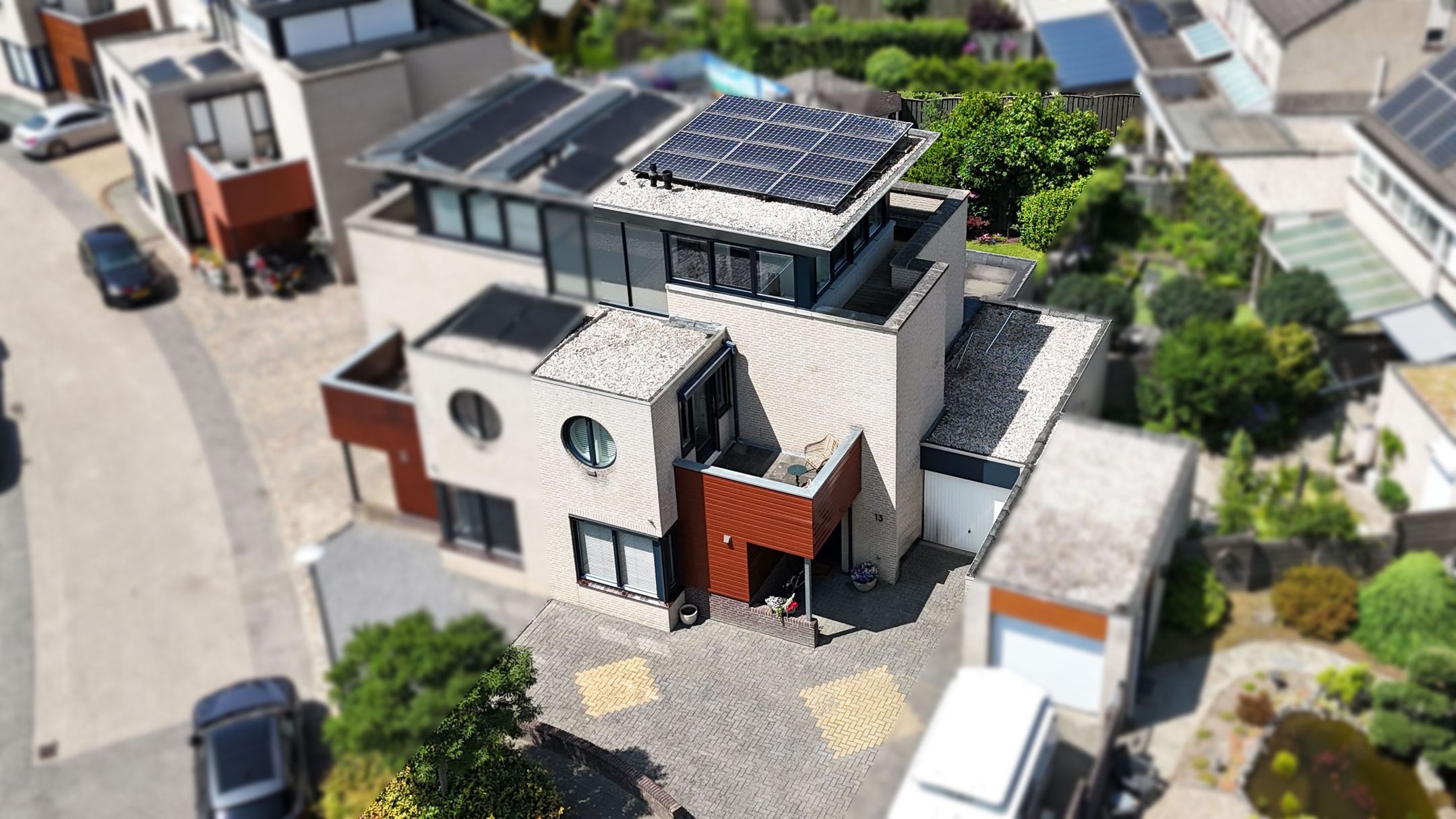 Foto 6 van Kleefkruid 13