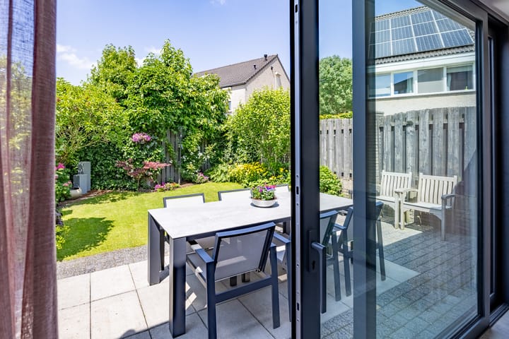 Photo 5 of Kleefkruid 13