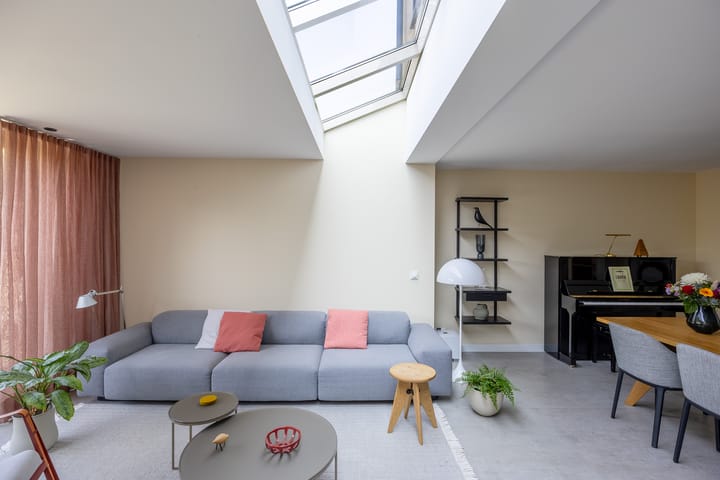 Foto 14 van Kleefkruid 13