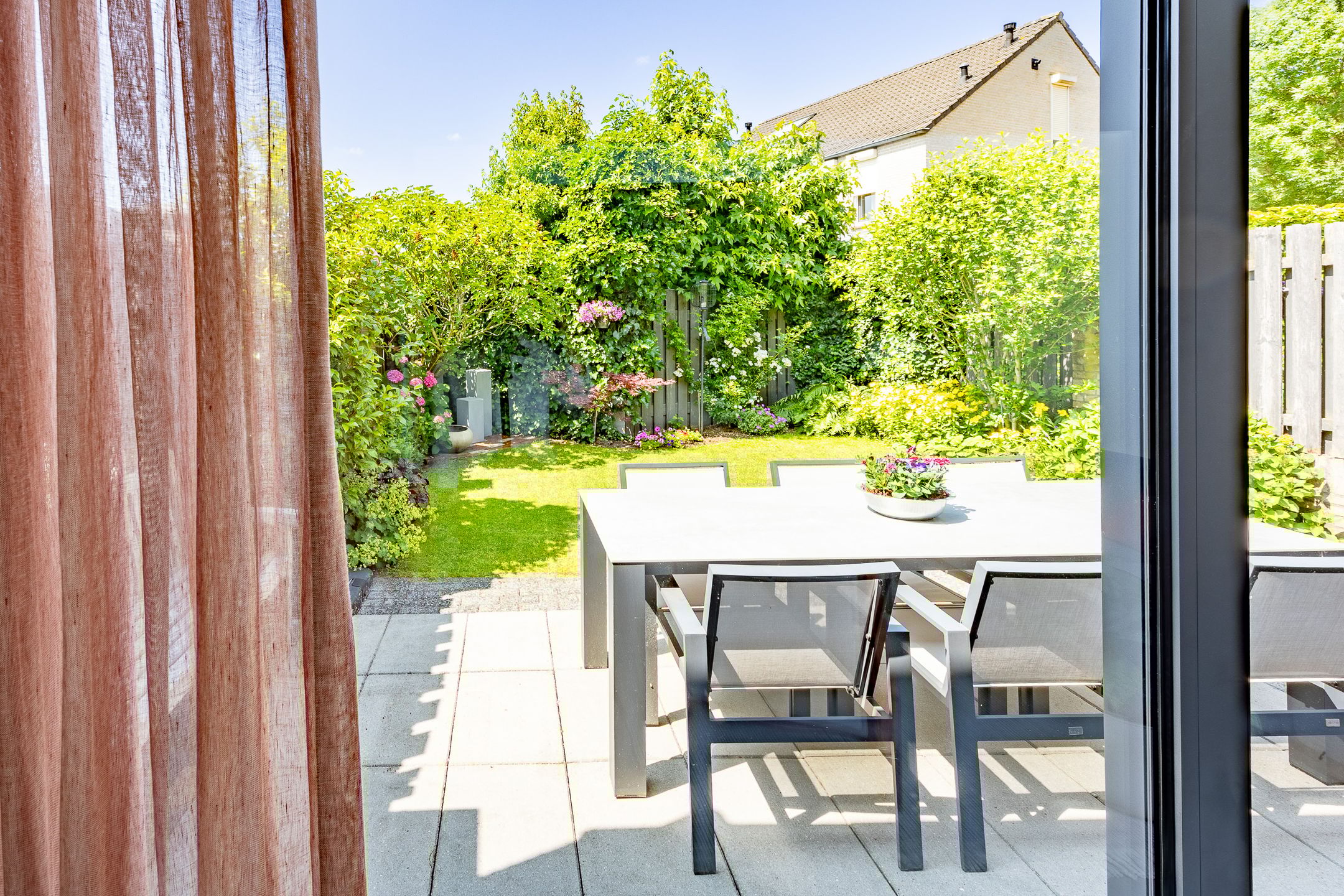 Foto 18 van Kleefkruid 13