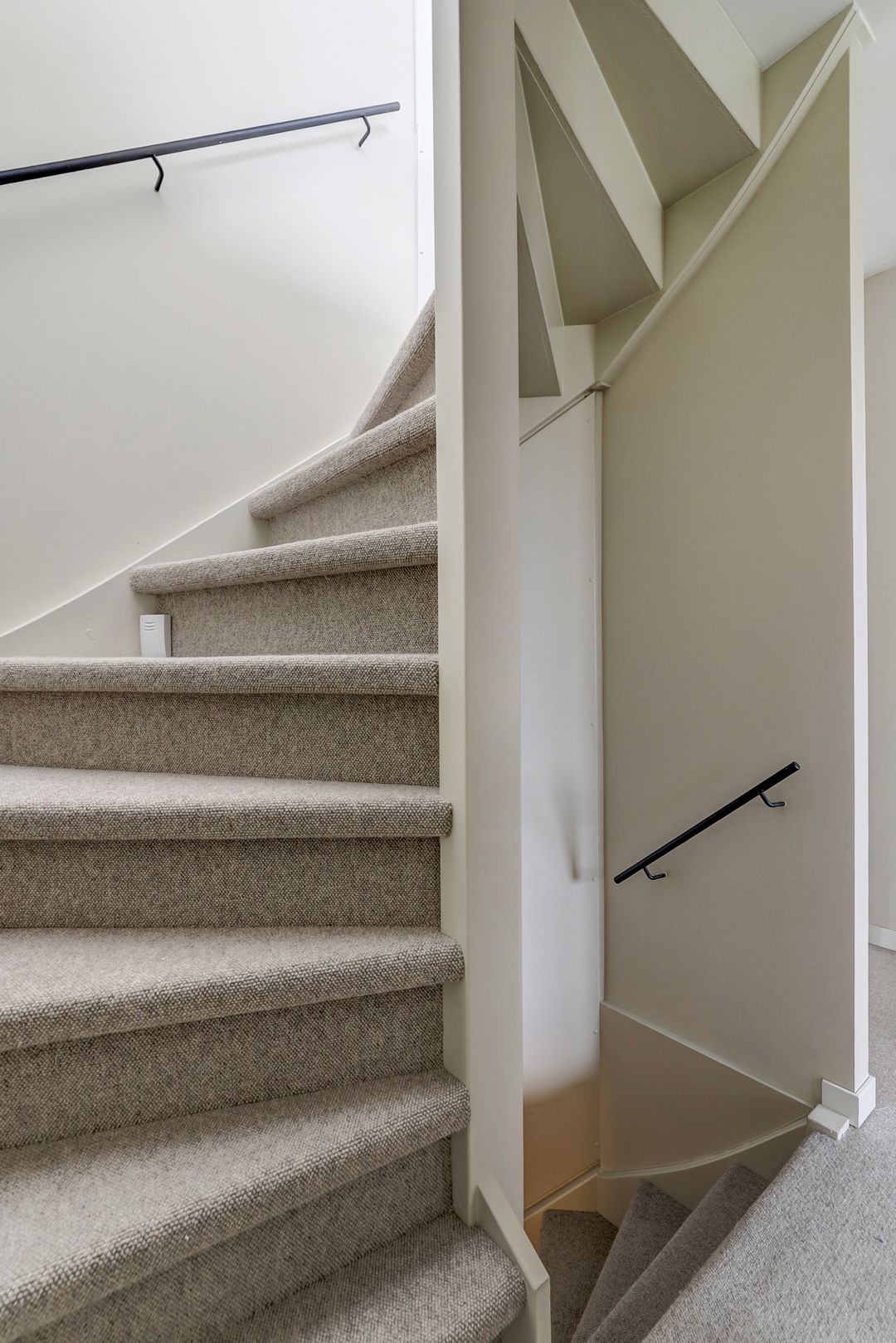 Foto 43 van Kleefkruid 13