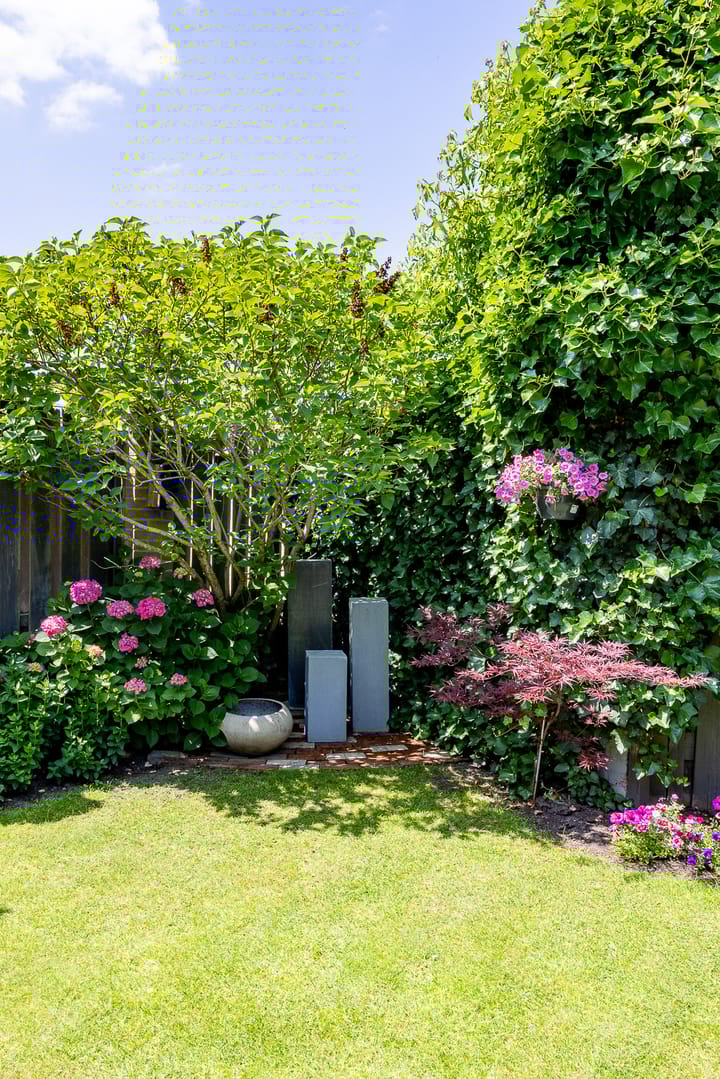 Foto 52 van Kleefkruid 13