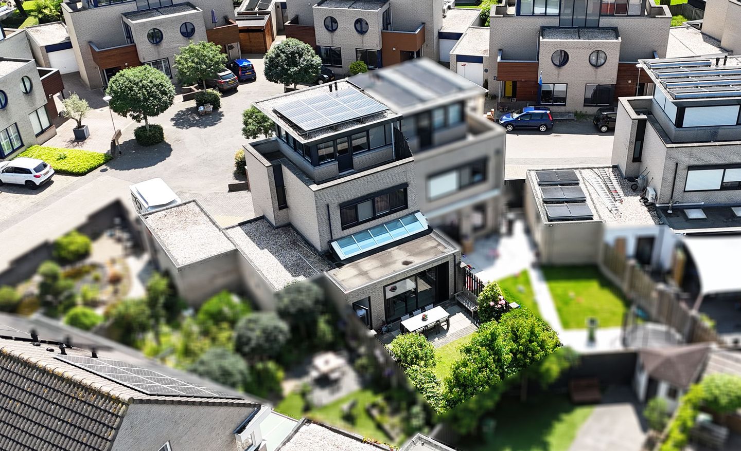 Foto 55 van Kleefkruid 13