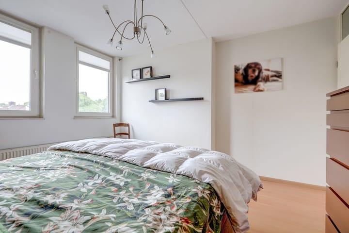 Photo 18 of Rietdekker 38