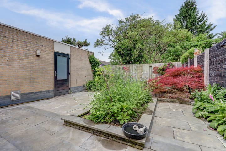 Photo 35 of Rietdekker 38