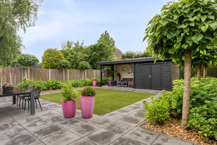 Foto 35 van Angel 27