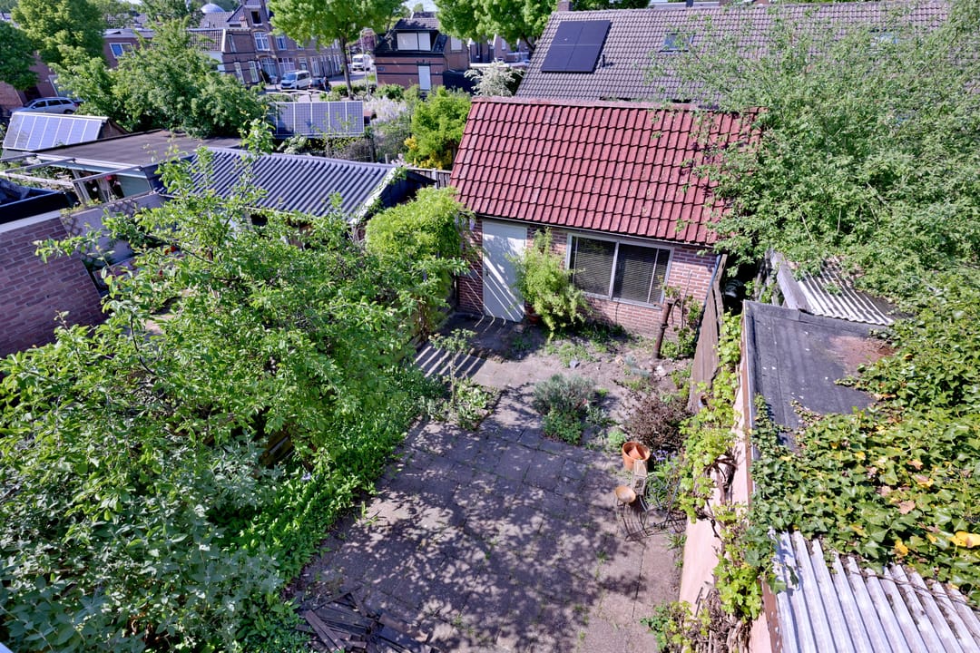 Foto 22 van Molenbelt 13