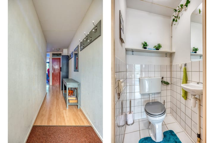 Foto 8 van Brigantijn 55