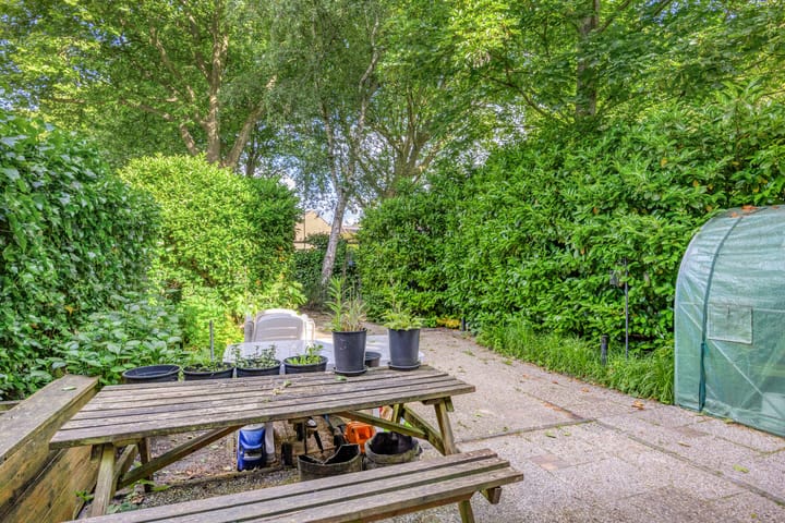 Foto 32 van Brigantijn 55