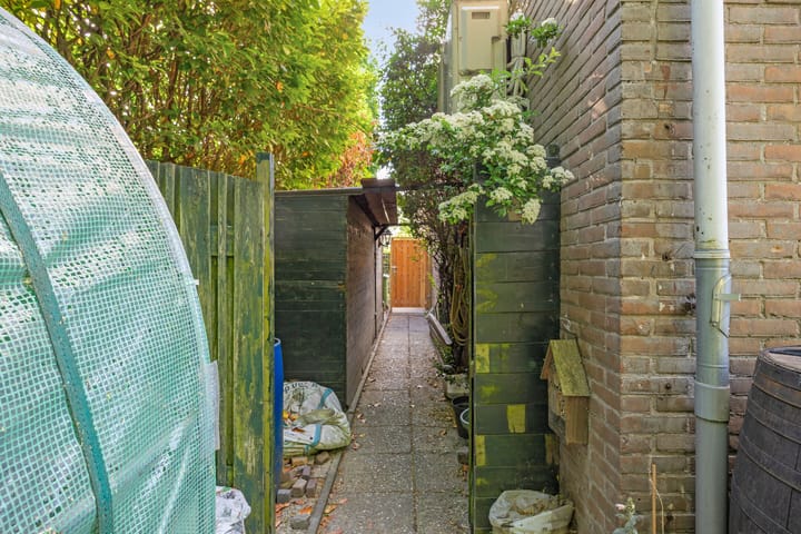 Foto 34 van Brigantijn 55