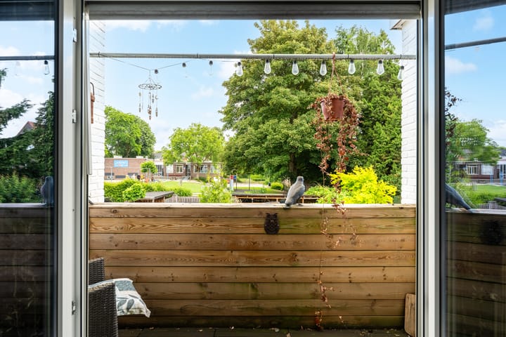 Foto 17 van Hamerstraat 109