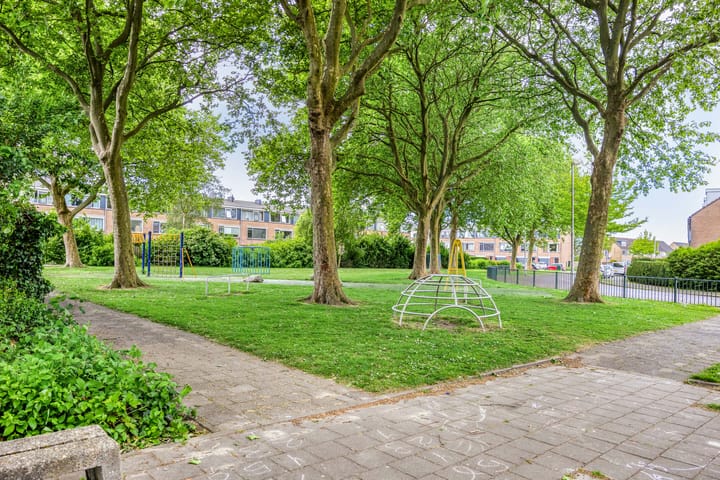 Foto 37 van Brigantijn 55