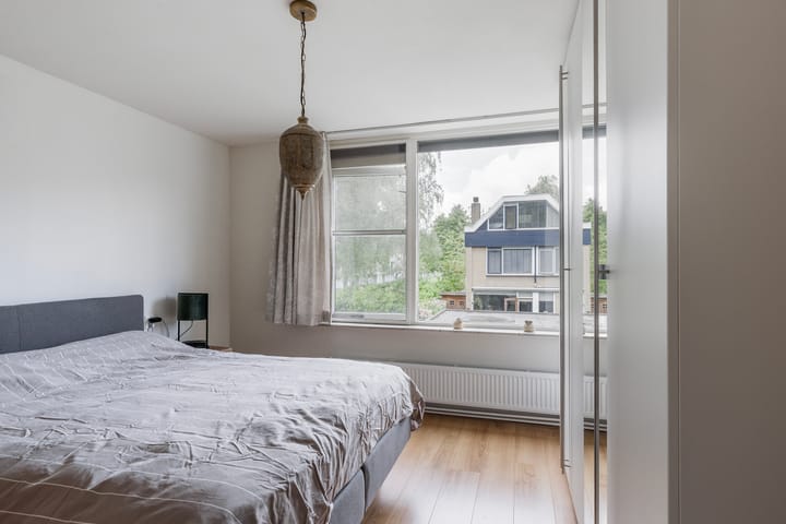 Foto 29 van Roemer Visscherstraat 1