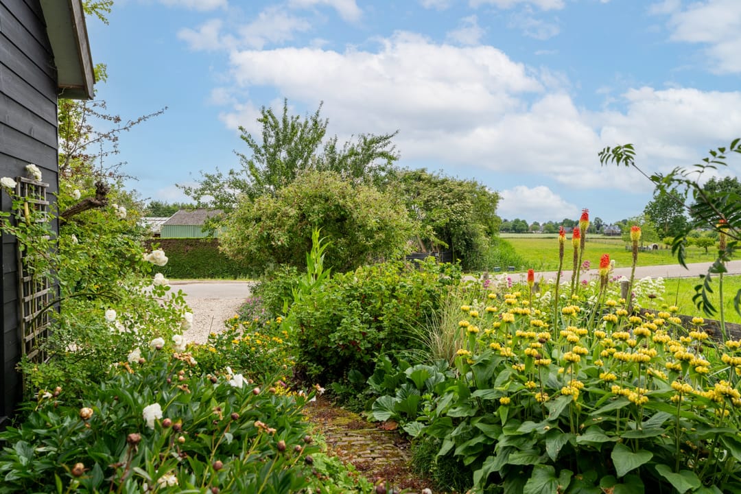 Foto 26 van Groenendijk 6