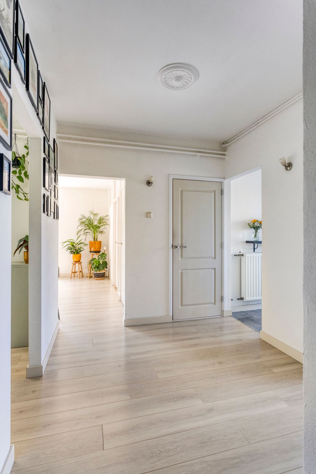 Foto 8 van Lelielaan 7