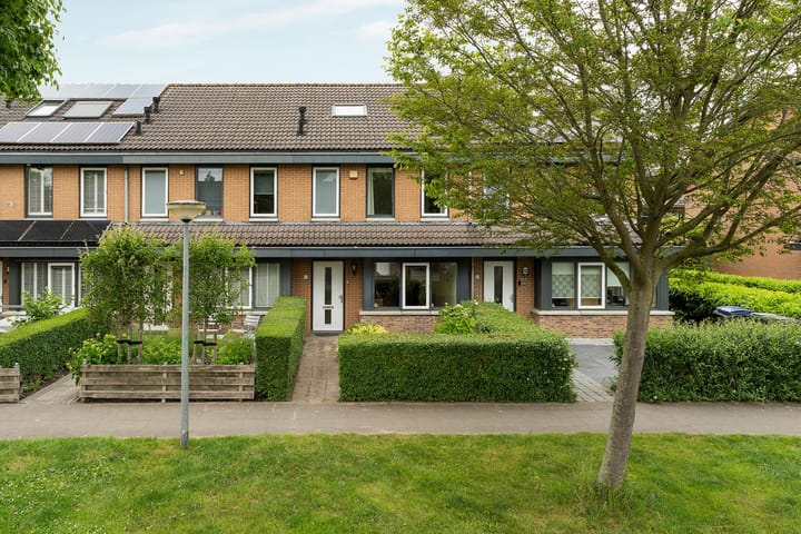 undefined main image