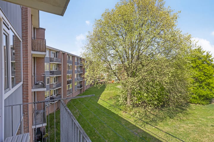 Foto 9 van Cornelis Bosstraat 70