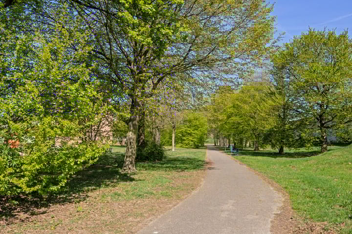 Foto 18 van Cornelis Bosstraat 70