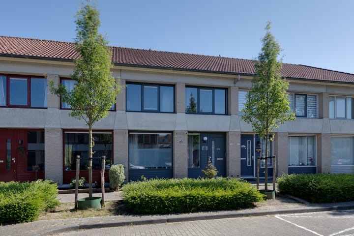 undefined main image