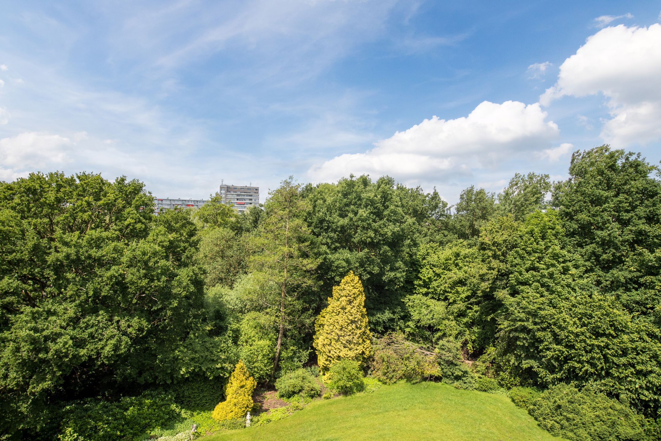 Photo 36 of Adelaartlaan 76