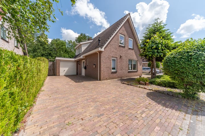 Foto 1 van Bomenland 13