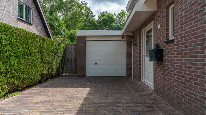 Foto 2 van Bomenland 13