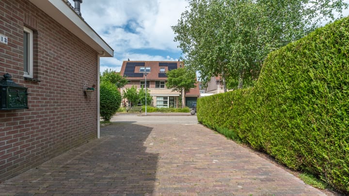 Foto 5 van Bomenland 13