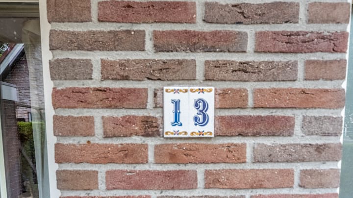 Foto 7 van Bomenland 13