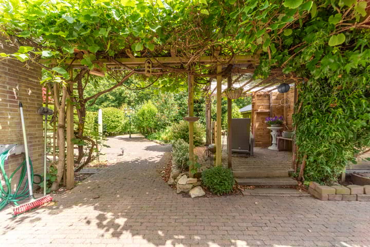 Foto 49 van Bomenland 13