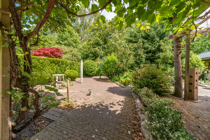 Foto 50 van Bomenland 13