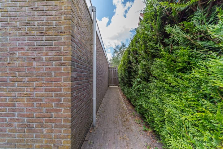 Foto 52 van Bomenland 13