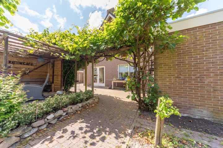 Foto 54 van Bomenland 13