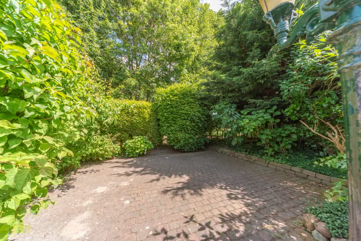 Foto 57 van Bomenland 13