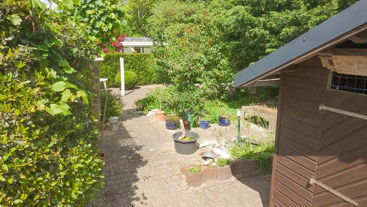 Foto 59 van Bomenland 13